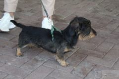 pfinsgten23_foto0218