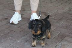 pfinsgten23_foto0219